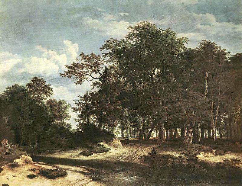 Jacob van Ruisdael The Large Forest Spain oil painting art